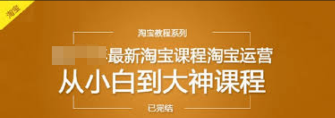 趣資料-從小白到大神，最新淘寶運(yùn)營(yíng)教程插圖