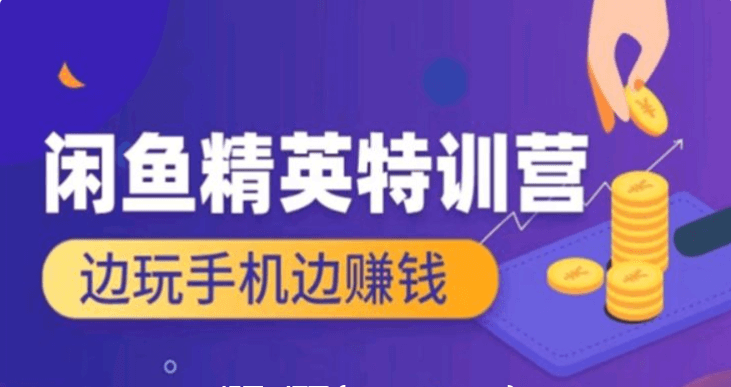 翼牛學堂：閑魚精英特訓營進階班，邊玩手機邊賺錢價值4999元-百度云網盤教程視頻插圖