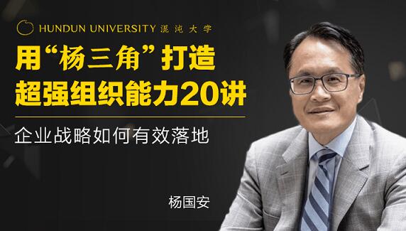 楊國(guó)安《打造超強(qiáng)組織能力20講》企業(yè)戰(zhàn)略如何有效落地_百度云網(wǎng)盤教程視頻插圖