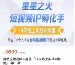 瑤瑤?自然流短視頻IP孵化第二期，成為有數據能賺錢的獨立IP孵化手百度網盤插圖