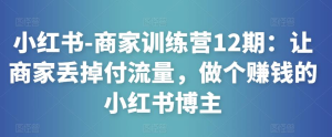 小紅書-商家訓(xùn)練營(yíng)12期：讓商家丟掉付流量，做賺錢小紅書博主百度網(wǎng)盤插圖