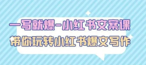 一寫就爆-小紅書文案課：帶你玩轉小紅收爆文寫作百度網(wǎng)盤插圖