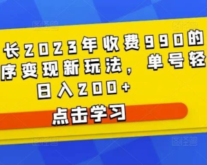 D1G館長2023年收費(fèi)990的抖音小程序變現(xiàn)新玩法百度網(wǎng)盤插圖