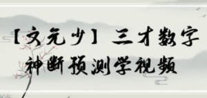 文元少 三才數(shù)字神斷預測學視頻 16集百度網(wǎng)盤插圖