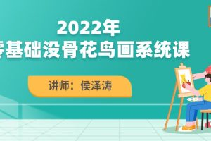 侯澤濤2022零基礎(chǔ)沒(méi)骨花鳥(niǎo)畫系統(tǒng)課百度網(wǎng)盤插圖