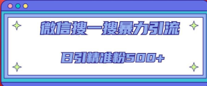 微信搜一搜引流全系列課程，日引精準(zhǔn)粉500+（8節(jié)課）百度網(wǎng)盤(pán)插圖