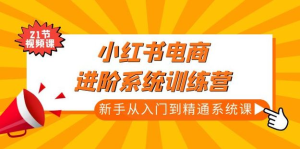 小紅書電商高階系統(tǒng)教程，新手從入門到精通系統(tǒng)課百度網(wǎng)盤插圖