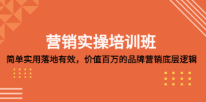 營銷實操培訓(xùn)班：簡單實用落地有效，價值百萬的品牌營銷底層邏輯百度網(wǎng)盤插圖