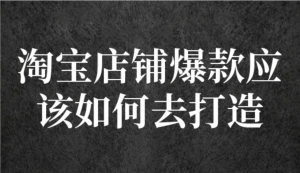 冠東?爆款店鋪淘系爆款選品方法，一個(gè)好選品思路決定是否盈利百度網(wǎng)盤(pán)插圖