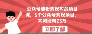 公眾號(hào)漲粉變現(xiàn)實(shí)戰(zhàn)項(xiàng)目課，5個(gè)公眾號(hào)變現(xiàn)，漲粉23萬(wàn)百度網(wǎng)盤插圖