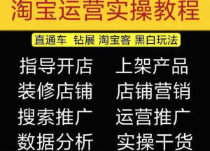 2023淘寶開店教程0基礎(chǔ)到高級(jí)全套視頻網(wǎng)店電商運(yùn)營培訓(xùn)教學(xué)課程（2月更新）百度網(wǎng)盤插圖