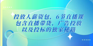 三里屯?投放人薪資包，6節(jié)直播課，直播帶貨、廣告投放獨(dú)家秘籍百度網(wǎng)盤插圖