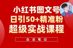 小紅書圖文號(hào)日引50+精準(zhǔn)流量，新手小白實(shí)戰(zhàn)的小紅書引流課百度網(wǎng)盤插圖