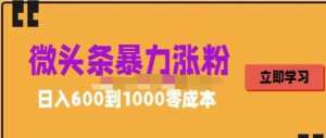 微頭條暴力漲粉技巧搬運(yùn)文案就能漲幾萬粉絲，0成本日賺600百度網(wǎng)盤插圖