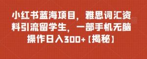 小紅書藍(lán)海項(xiàng)目雅思詞匯資料引流留學(xué)生，0門檻操作日入300百度網(wǎng)盤插圖