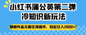 小紅書蒲公英冷知識(shí)新玩法，照搬作品賺錢副業(yè)百度網(wǎng)盤插圖