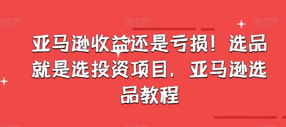 亞馬遜收益還是虧損！選品就是選投資項(xiàng)目，亞馬遜選品教程插圖