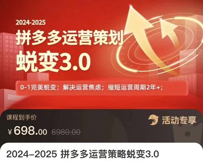 【電商上新】083.大力·2024-2025拼多多運(yùn)營策略蛻變3.0 0~1完美蛻變，解決信息焦慮