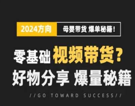 短視頻母嬰賽道實操流量訓練營，零基礎視頻帶貨，好物分享，爆量秘籍插圖