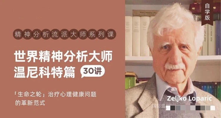 世界精神分析大師系列課——溫尼科特篇【視頻課30講】插圖