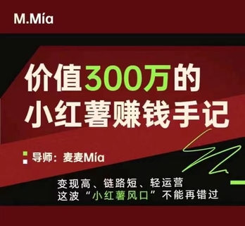 【抖音上新】價(jià)值300萬的小紅書賺錢手記 變現(xiàn)高、鏈路短、輕運(yùn)營，這波“小紅薯風(fēng)口”不能再錯(cuò)過。