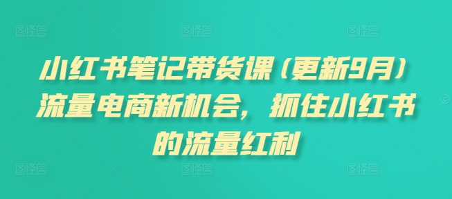 小紅書筆記帶貨課(更新9月)流量電商新機(jī)會，抓住小紅書的流量紅利插圖