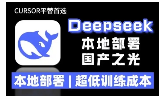 2025年deepseek R1 大型模型本地安裝部署(文件+教程)本地部署，超低訓(xùn)練成本插圖