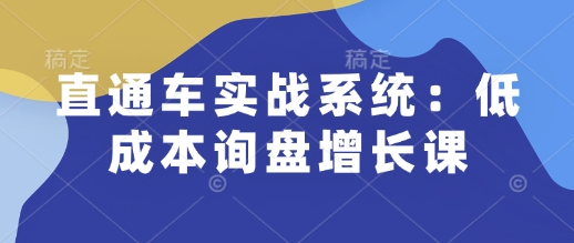 直通車實戰(zhàn)系統(tǒng)：低成本詢盤增長課插圖